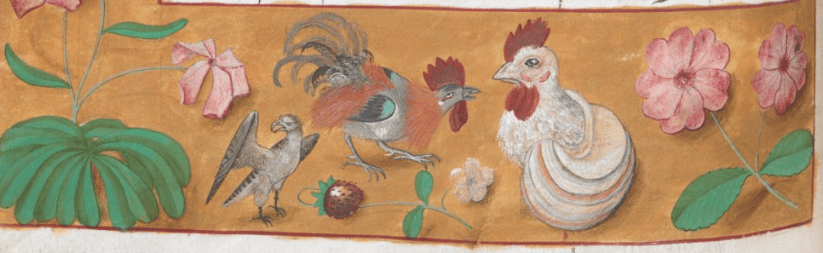 Royal 19 C VIII f 32r chickens